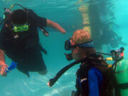 Researchers need info from disabled divers and their instructors