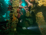 Oman wreck