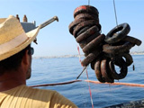 Tyres being removed from the sea