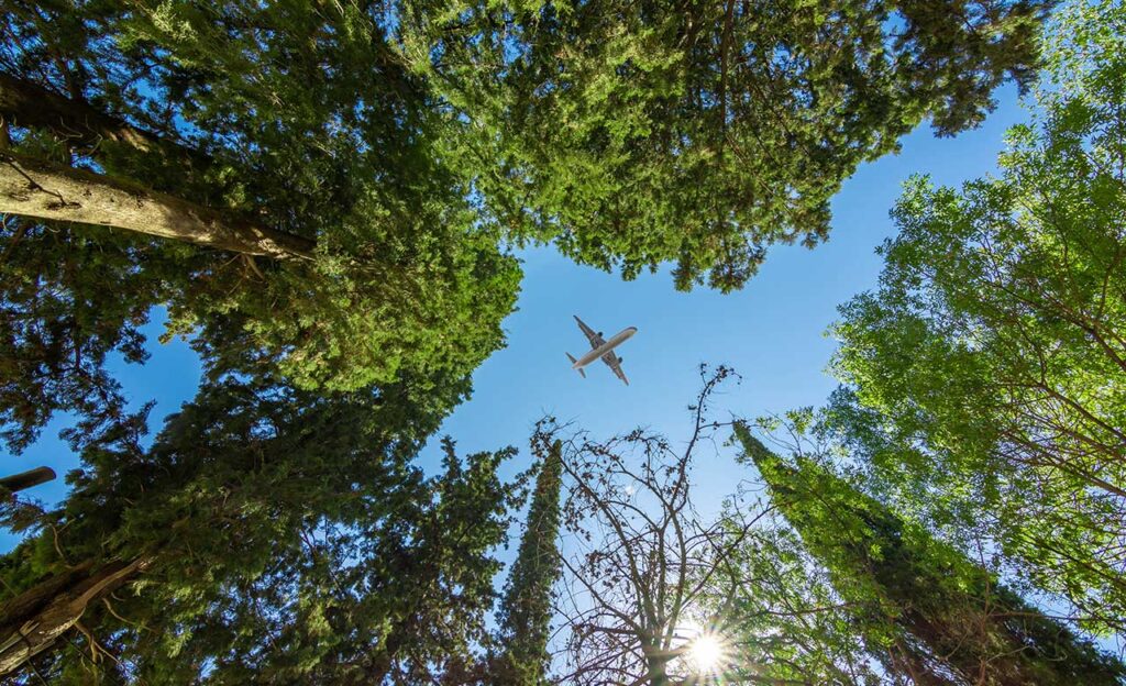 aeroplane above trees