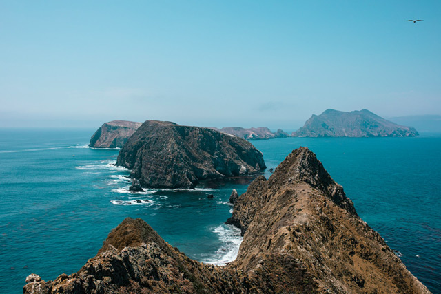 Diving California channel islands