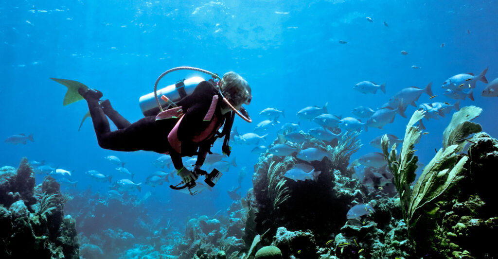 Scuba diver in Bermuda