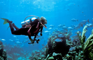 Diver in Bermuda
