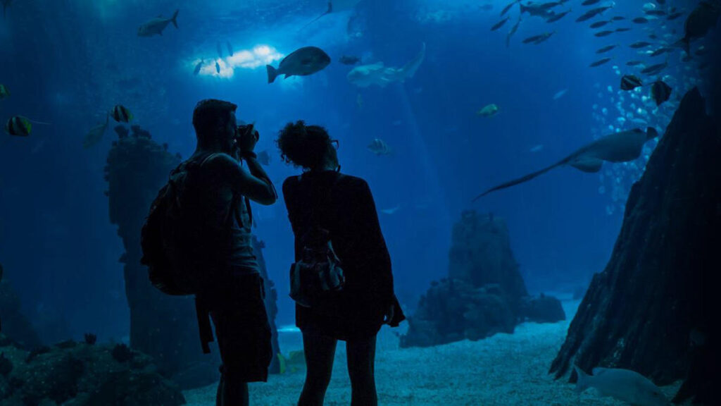 oceanario lisbon