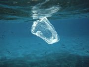 Plastic bag in sea