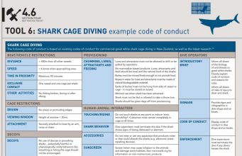 Responsible shark cage diving