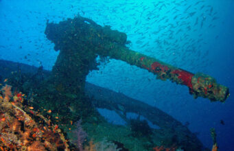 Coral growing on the Thistlegorm